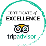 A circular teal brushstroke frame encloses a &ldquo;CERTIFICATE OF EXCELLENCE&rdquo; title and the TripAdvisor owl logo beneath it. End of sentence.