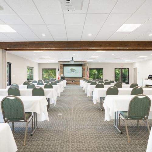 A bright, modern classroom with desks in rows, a whiteboard, and plants along the windows, creating a calm learning space.