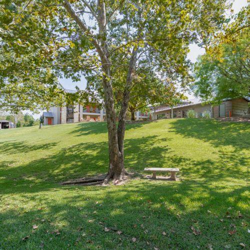 A sunny park scene with a grassy lawn, trees, and a bench along a winding path.