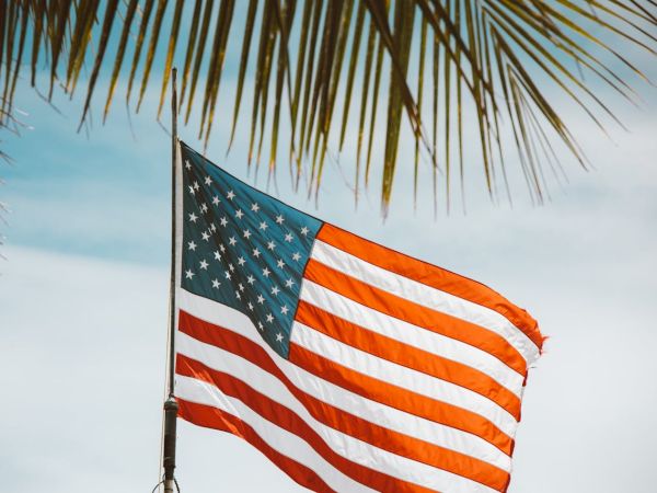An American flag waving on a flagpole framed by palm leaves against a blue sky.
